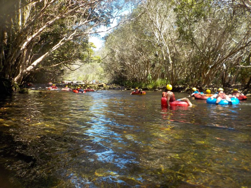 From Cairns and Northern Beaches: Rainforest River Tubing - Common questions