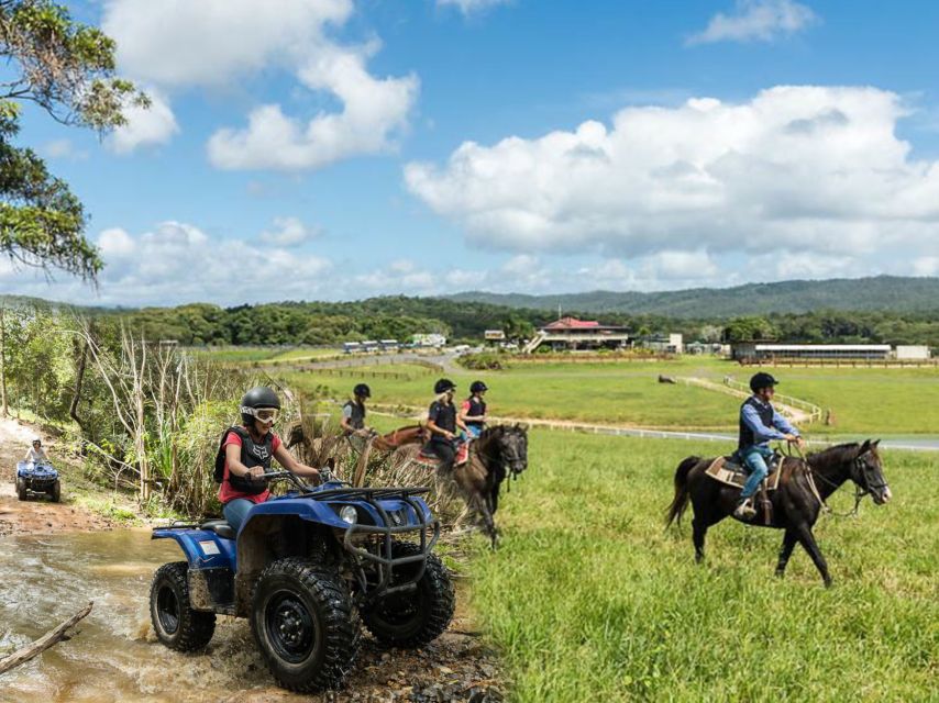 From Cairns: Kuranda Day Trip With Petting Zoo and Quad Ride - Common questions