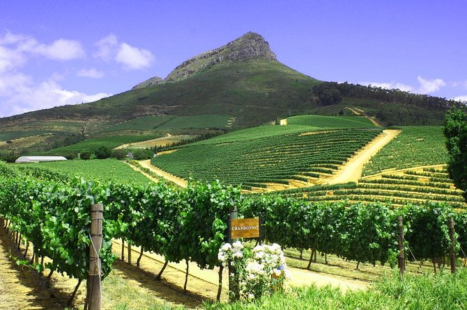 From CapeTown: Stellenbosch Half Day Wine Tour - Common questions