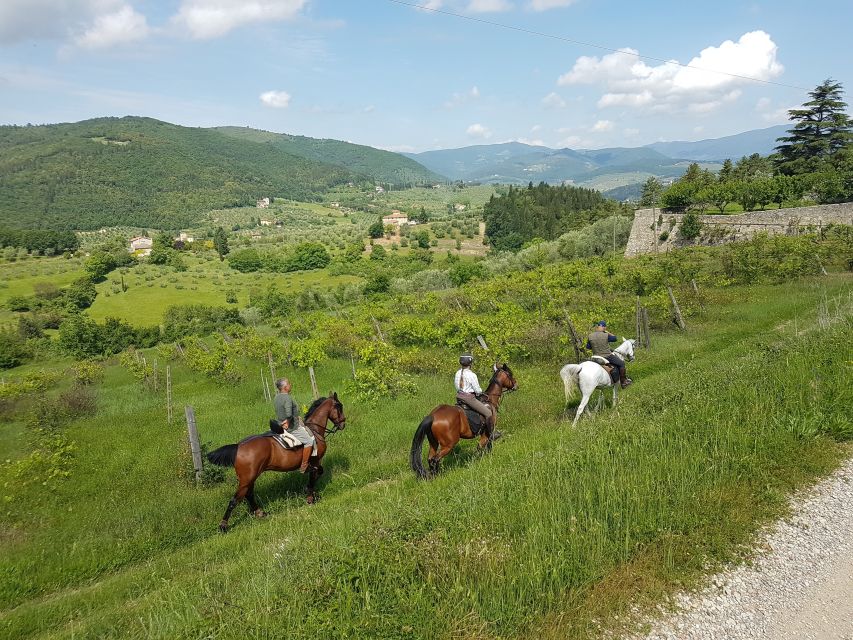 From Florence: Horseback Ride and Olive Oil Tour With Lunch - Customer Reviews