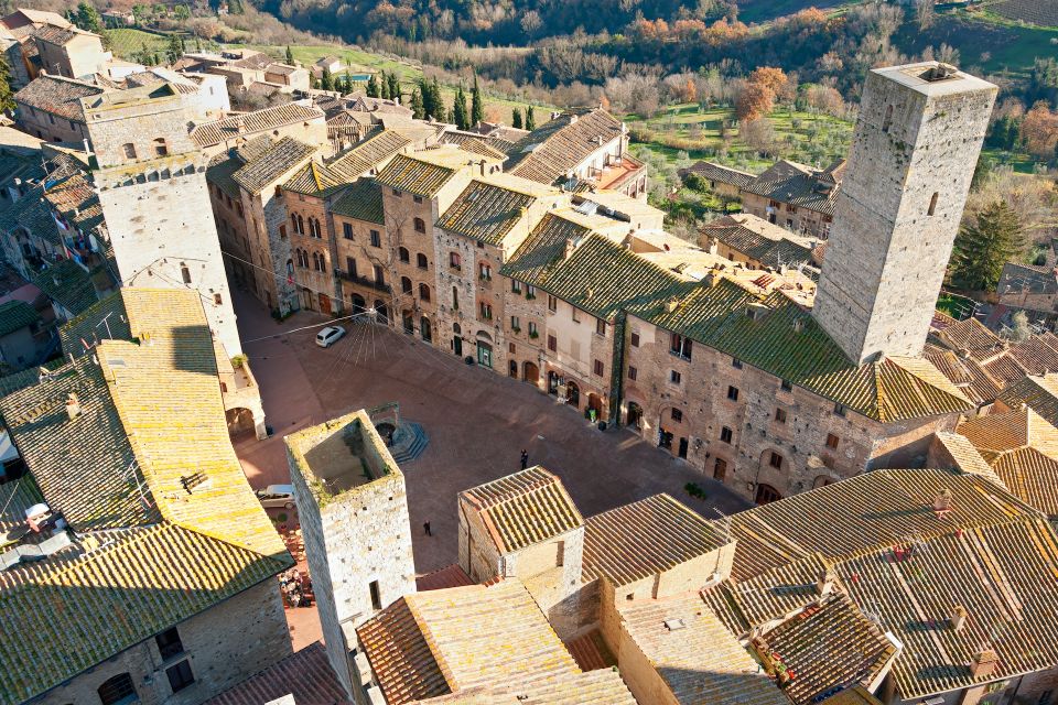 From Florence: PRIVATE Trip to Pisa, San Gimignano, & Siena - Driver and Vehicle