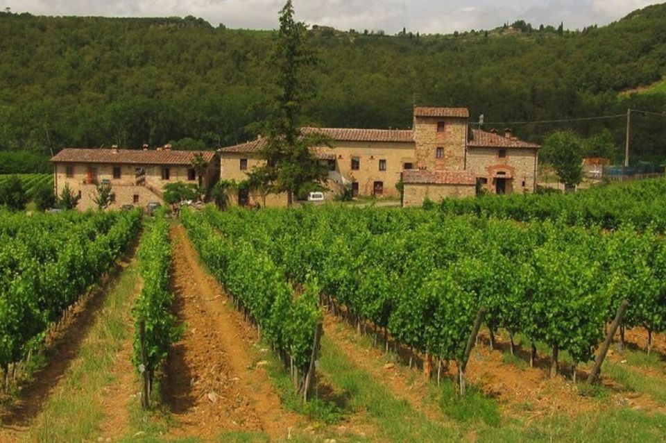 From Florence: Private Wine Tasting Tour in Chianti - Common questions