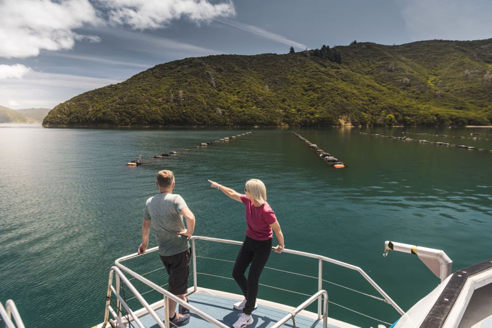 From Havelock: Marlborough Sounds Mail Boat Full-Day Cruise - Common questions