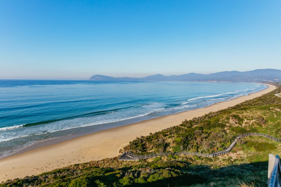 From Hobart/Adventure Bay: Bruny Island Wilderness Cruise - Price and Duration