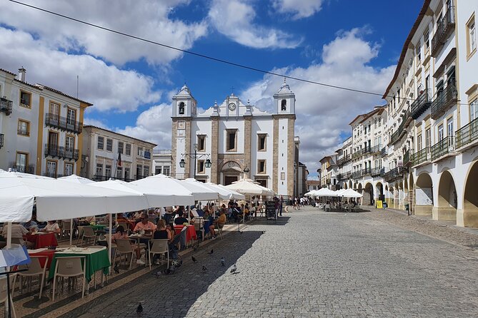 From Lisbon: Évora & Monsaraz Small-Group Full Day Tour - Contact and Support
