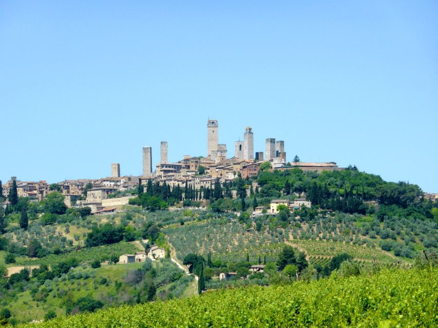 From Livorno: Siena and San Gimignano Guided Day Trip - Last Words