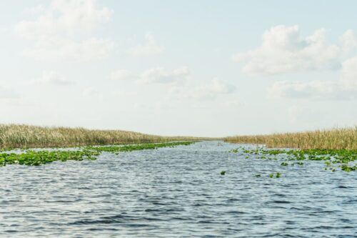 From Miami: Everglades Airboat, Wildlife Show & Bus Transfer - Directions and Recommendations