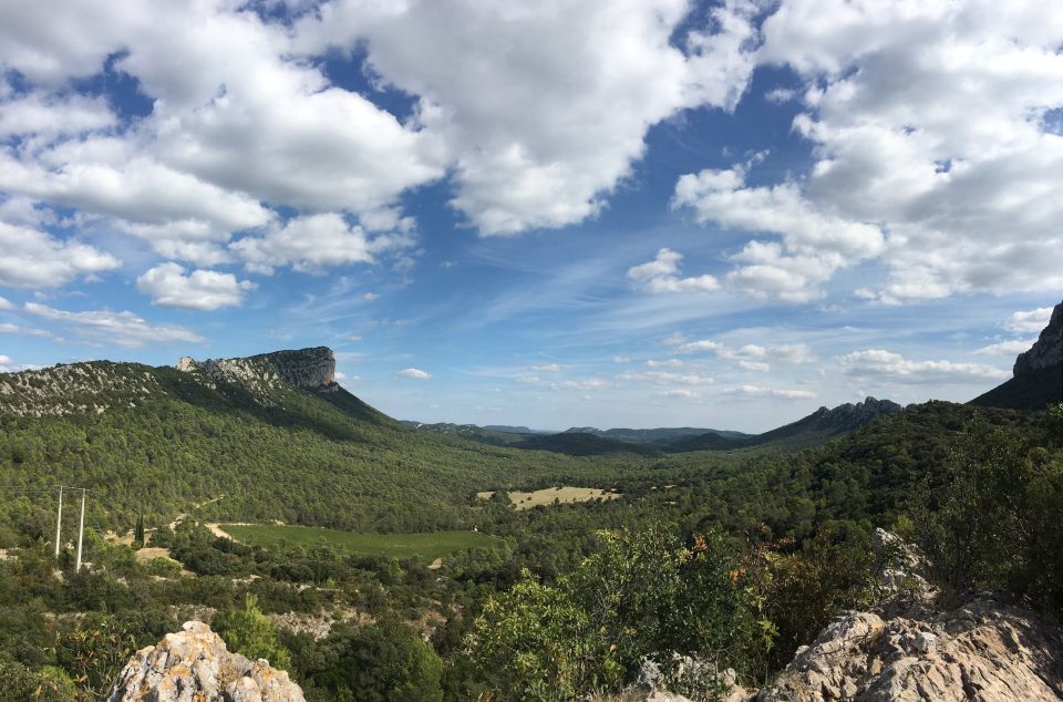 From Montpellier: Half-Day Vineyard & Pic Saint-Loup Tour - Directions