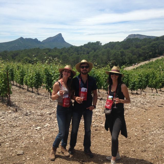 From Montpellier: Pic Saint-Loup Wine and Food Tour - Last Words
