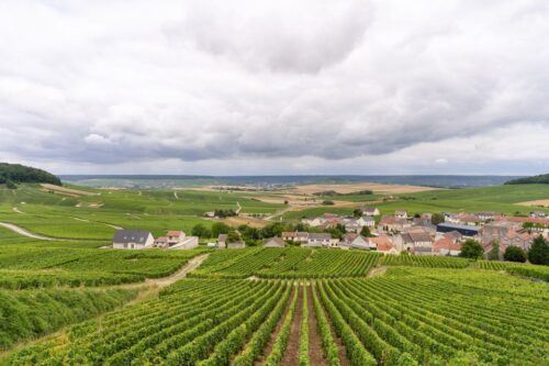 From Paris: Day Trip to Champagne With 8 Tastings & Lunch - Tour Inclusions and Amenities