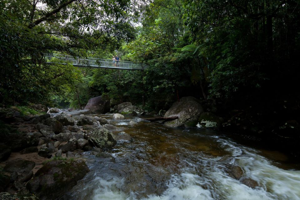 From Port Douglas: Daintree and Mossman Gorge Day Tour - Cancellation Policy and Language