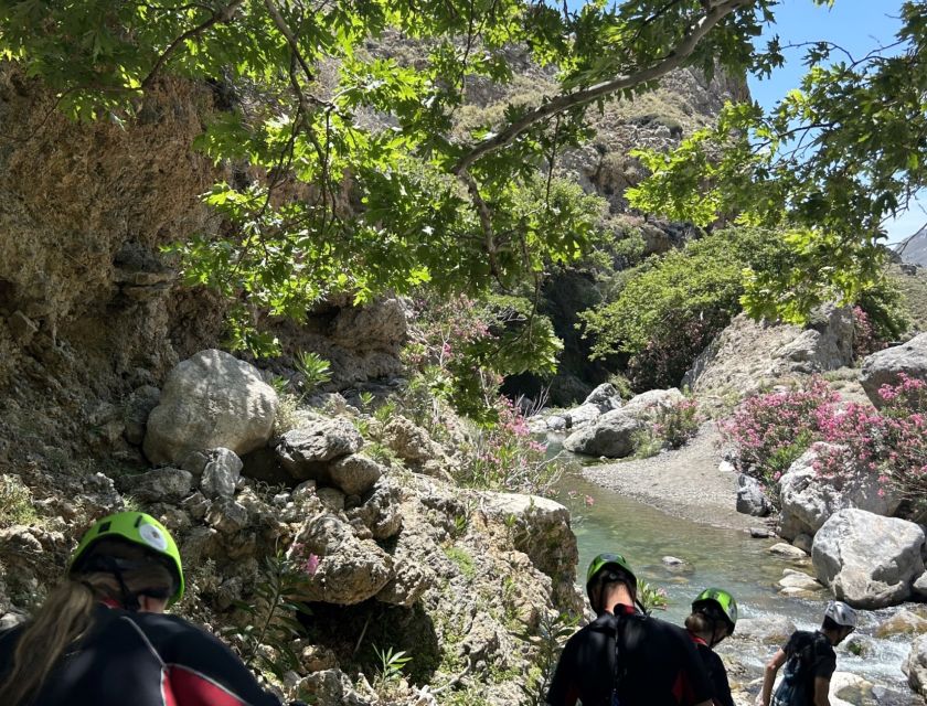 From Rethymno:Exclusive River Trekking - Kourtaliotiko Gorge - Customer Reviews Summary