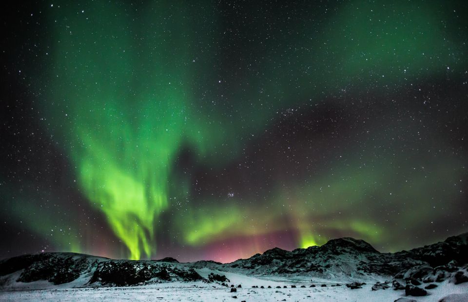 From Reykjavik: Northern Lights & Stars Bus Tour - Tour Inclusions