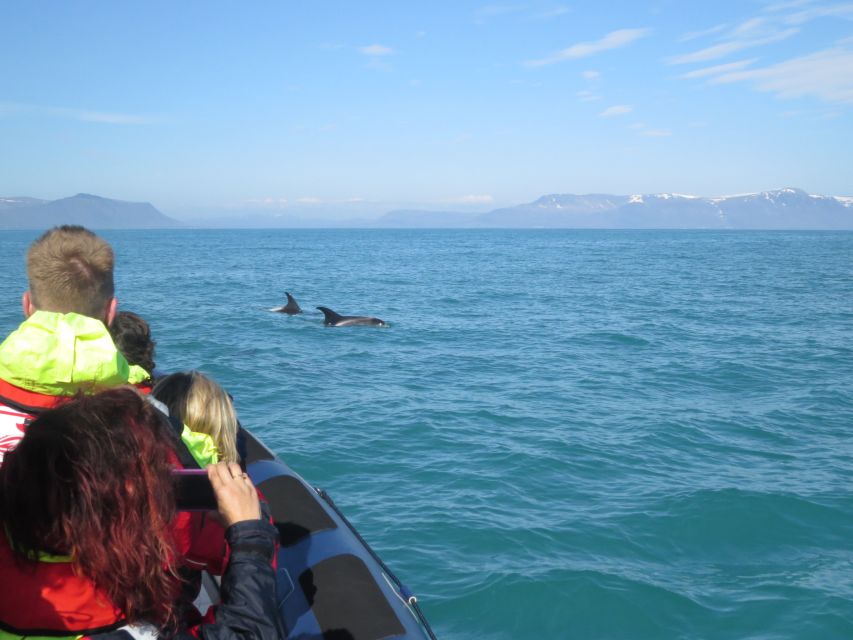 From Reykjavik: Whale and Puffin Watching RIB Boat Tour - Coastal Perspectives