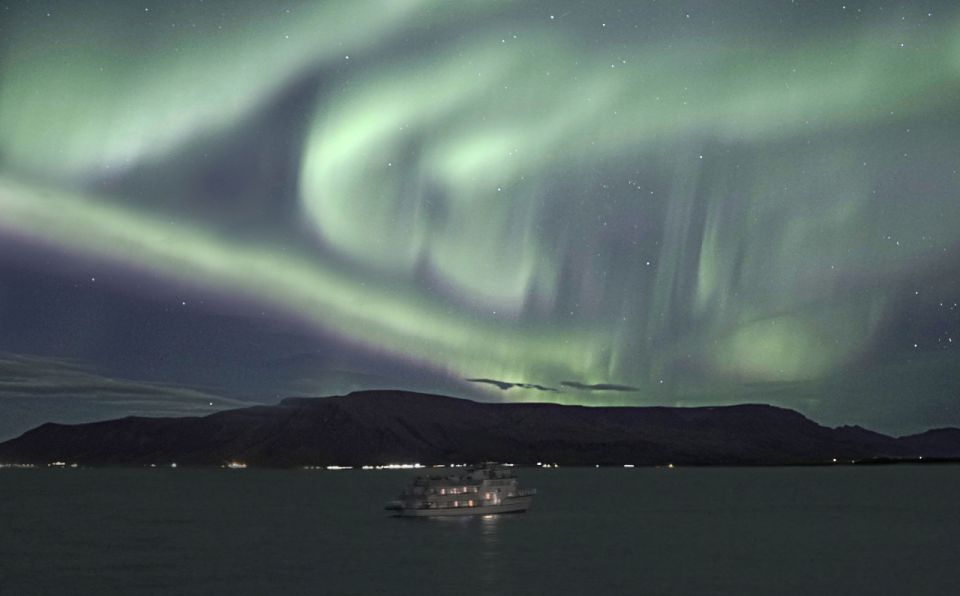 From Reykjavik: Whales and Northern Lights Boat Tour - Last Words