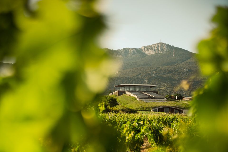 From San Sebastian: Rioja Uncorked - Private Wineries Trip - Booking Information