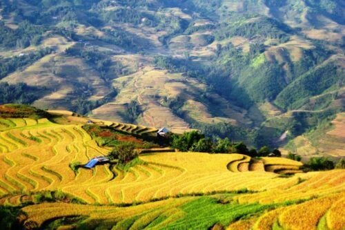 From Sapa : 2-Days 1 Night Trekking With Local Guide - Last Words