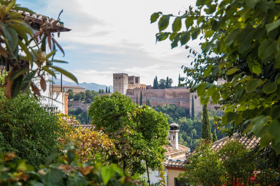 From Seville: Alhambra & Albaicín Private Tour - Common questions