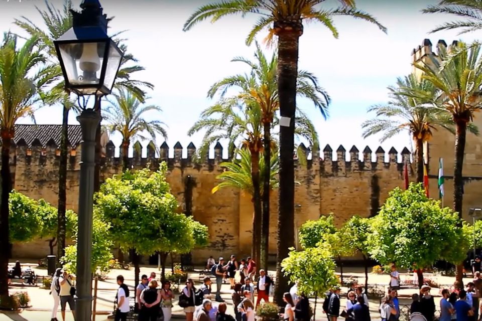 From Seville: Cordoba Full-Day Private Tour - Last Words