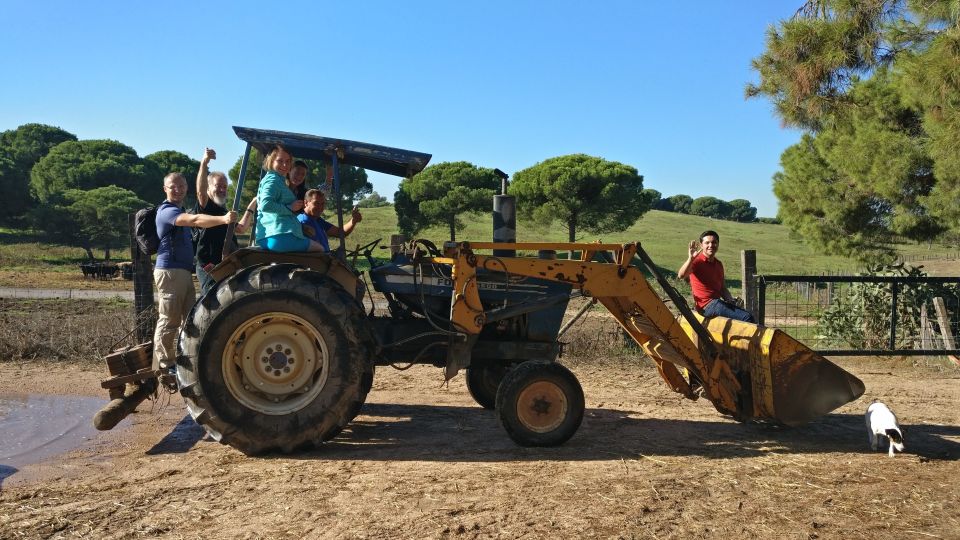 From Seville: Half-Day Bull Breeding Farm Tour - Last Words