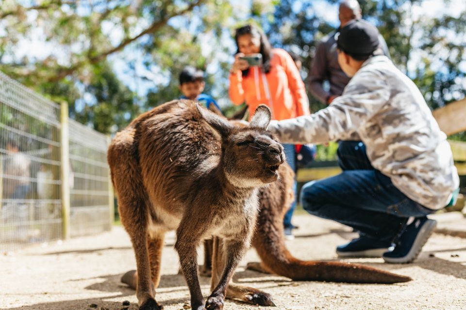 From Sydney: Blue Mountains Full-Day Trip - Common questions