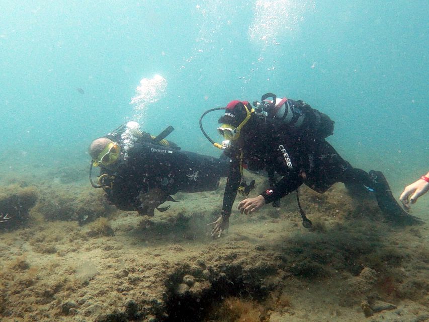 Fuerteventura : Discover Scuba Diving - Last Words