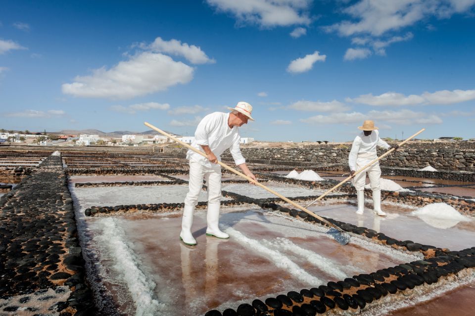 Fuerteventura: Tickets to Salt, Cheese and Windmill Museums - Customer Reviews and Ratings