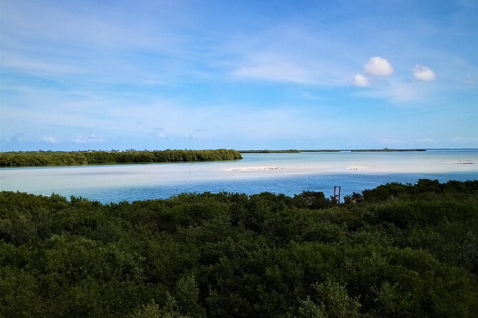 Full Day Excursion to the Best of Holbox From Cancun - Return Journey