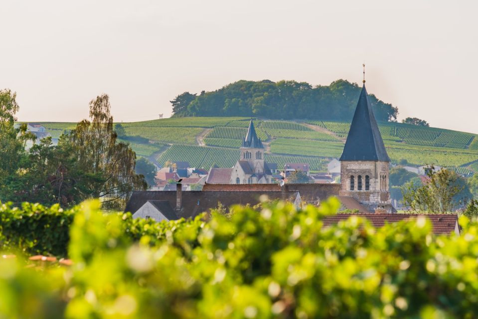 Full Day Pommery Small Group Tour - Common questions