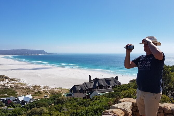 Full-Day Private Cape Peninsula Tour - Overall Tour Summary