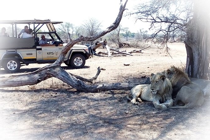 Full Day Private Kruger Park Safari - Last Words