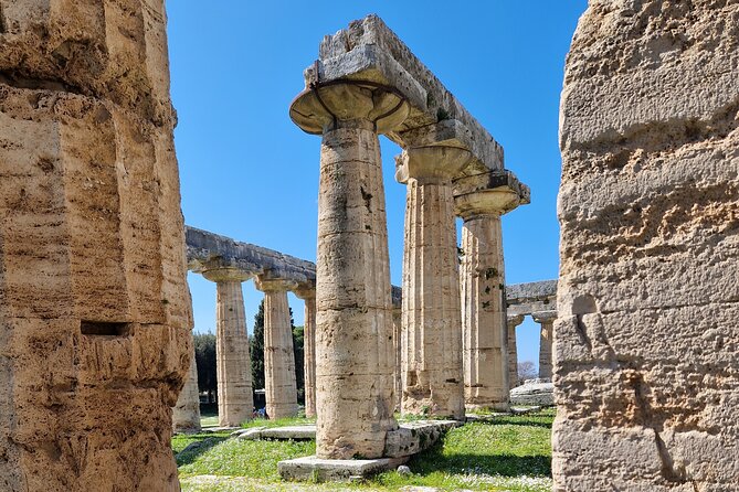 Full Day Private Tour-Temples of Paestum and Ruins of Pompeii - Additional FAQs and Terms
