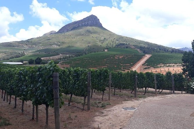 Full Day Wine Tasting in Stellenbosch, Franschoek & Paarl Fees Included - Pricing and Fees