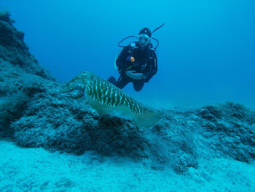 Gran Canaria: Try Scuba Diving for Beginners - Common questions