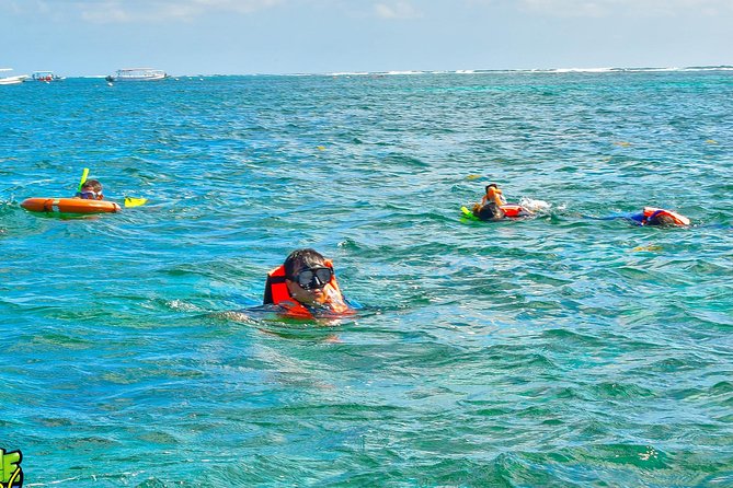 Great Maya Reef Snorkeling Tour With Lunch in Puerto Morelos - Cancellation Policy and Refunds