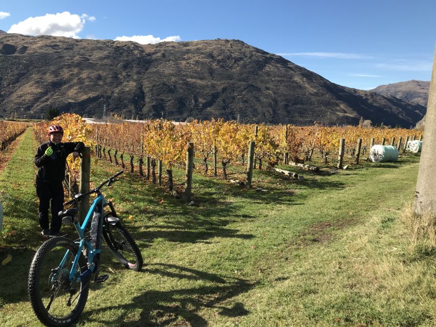 Guided E-Bike Wine Tour Ride to the Vines - Customer Reviews