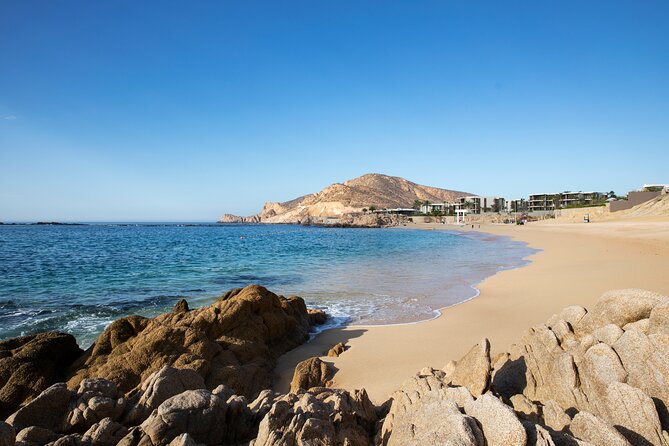 Half-Day Coast Tour With Snorkeling at Chileno Beach  - San Jose Del Cabo - Weather Contingency and Alternatives