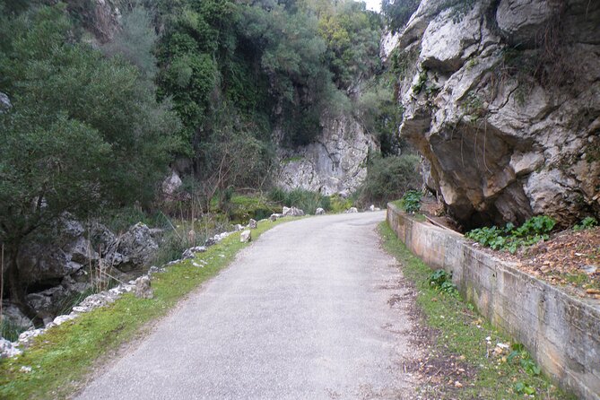 Half-Day Mountain Bike Experience to Serra De Tramuntana, - Train Ride Inclusion