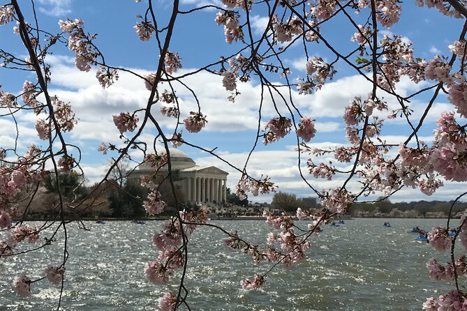 Half-Day Private Guided Bike Tour in Washington - Directions for Metro Arrivals