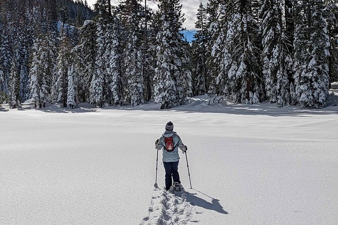 Half Day Snowshoe Hike in Tahoe National Forest - Common questions