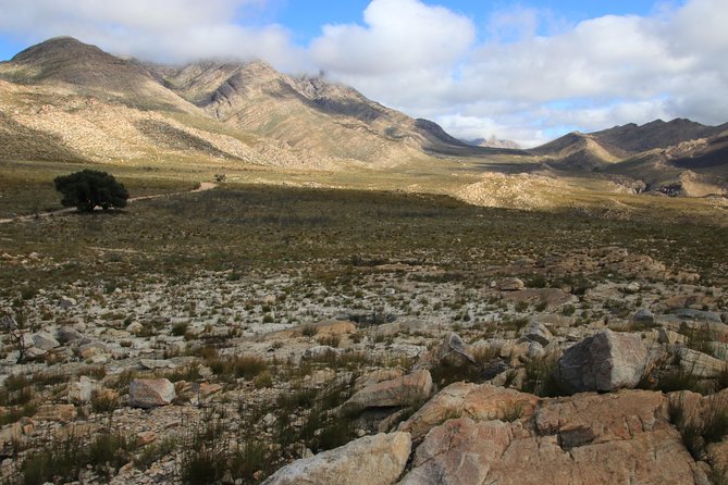 Half-Day Swartberg Pass PRIVATE Tour (Including Lunch & Transfer - Oudtshoorn) - Last Words