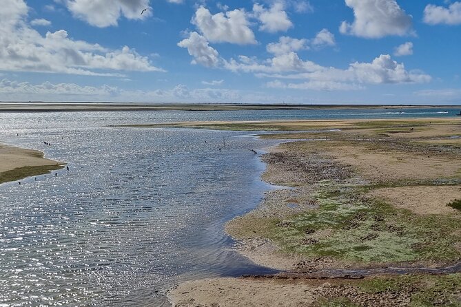 Half Day Walking Tour in Ria Formosa Nature Park - Last Words