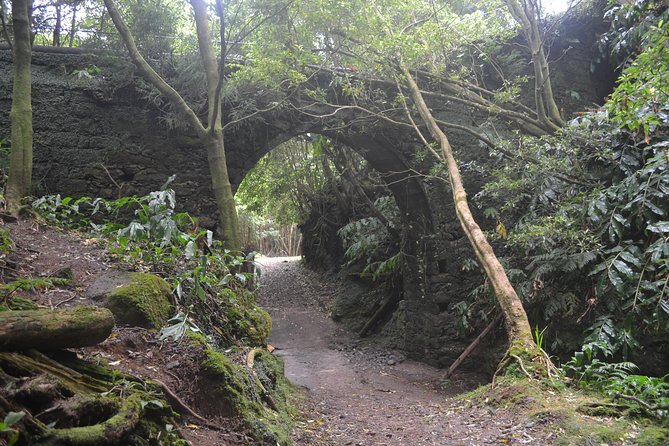 Half Day Walking Tour to Janela Do Inferno and Lagoa Do Fogo - Common questions