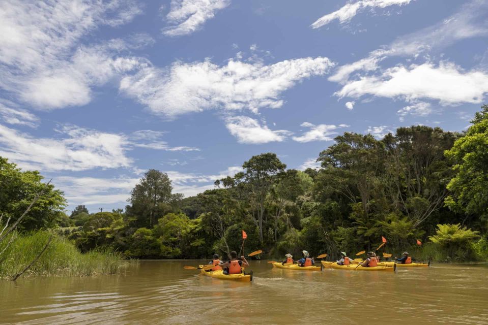 Hallertau Clevedon Kayak Tour - Common questions