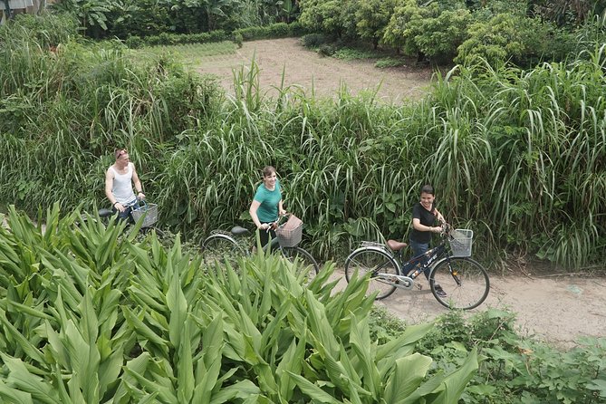 Hanoi Backstreet Bicycle Tour - Last Words