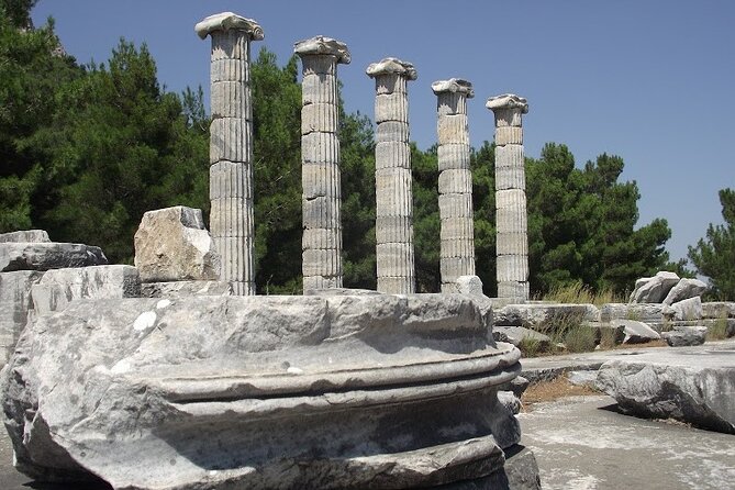 Heart of Aegean: Private Priene - Miletus - Didyma Tour - Customer Reviews