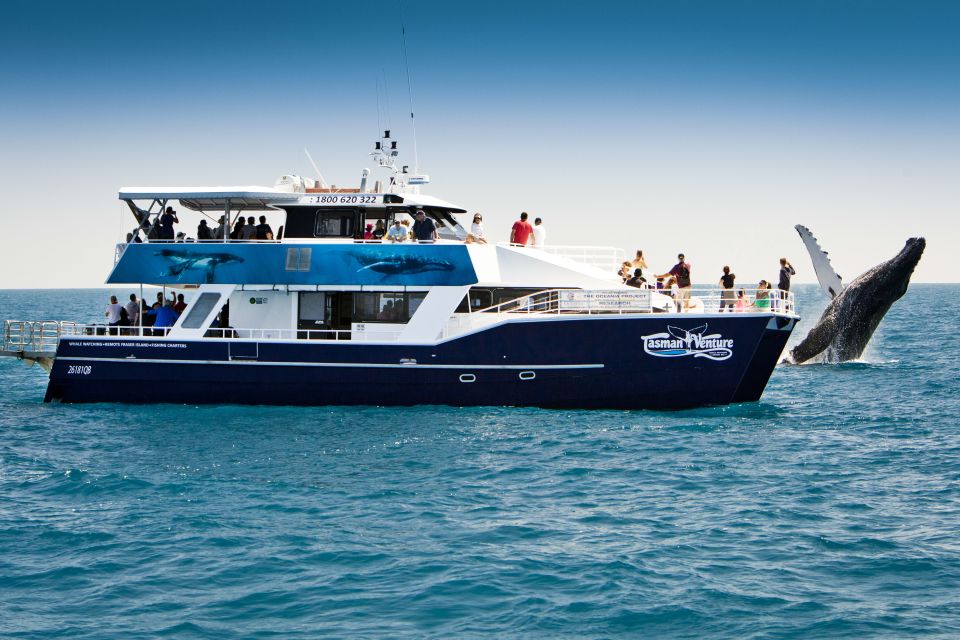 Hervey Bay 4-Hour Whale Watch Encounter - Discover the Scenic Itinerary