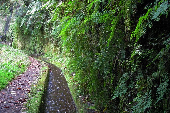 Hidden Corners: Levada Walk From Funchal - What To Bring and Expect