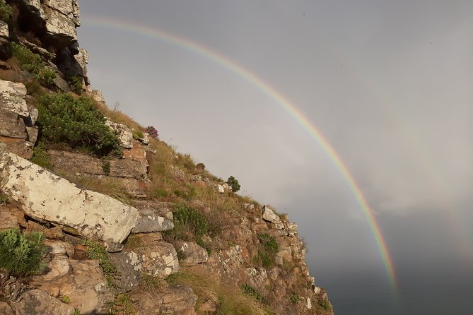 Hike Lions Head Sunrise Morning Tour - Last Words