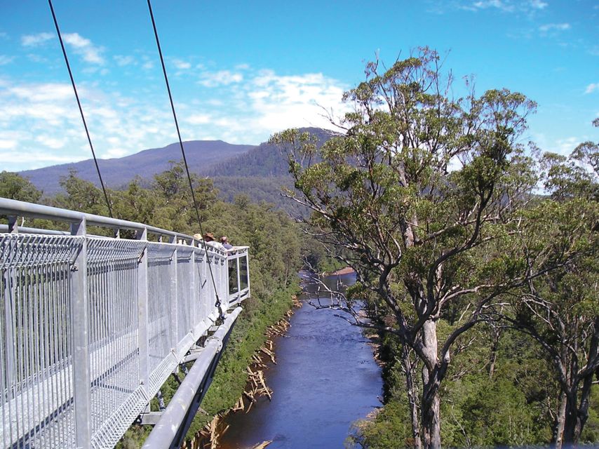 Hobart: Hastings Caves, Tahune Airwalk, and Huon Valley Tour - Last Words